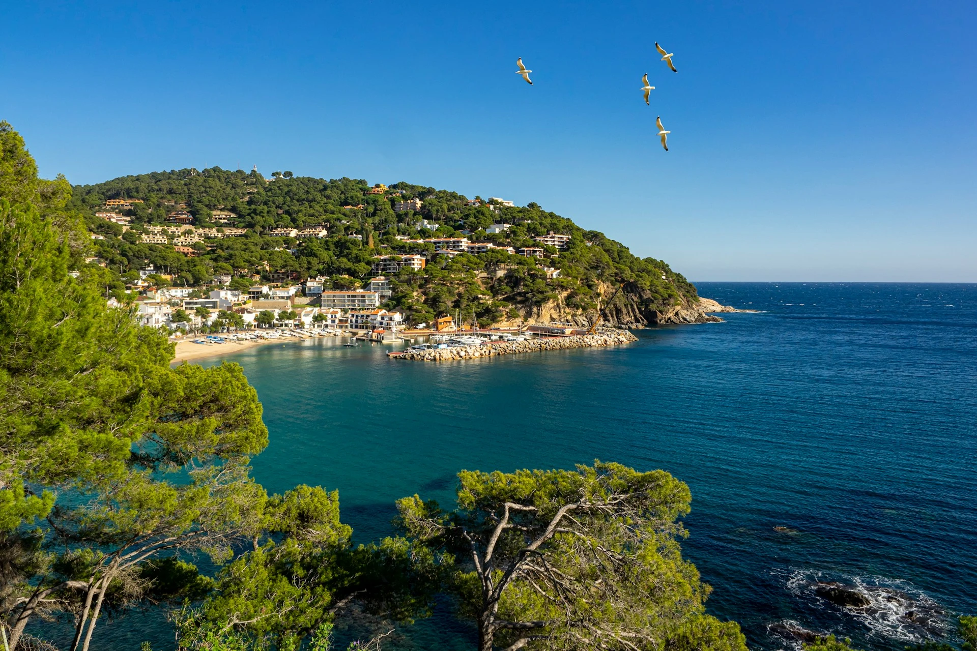 Padel Holiday Packages in Spain, Costa Brava