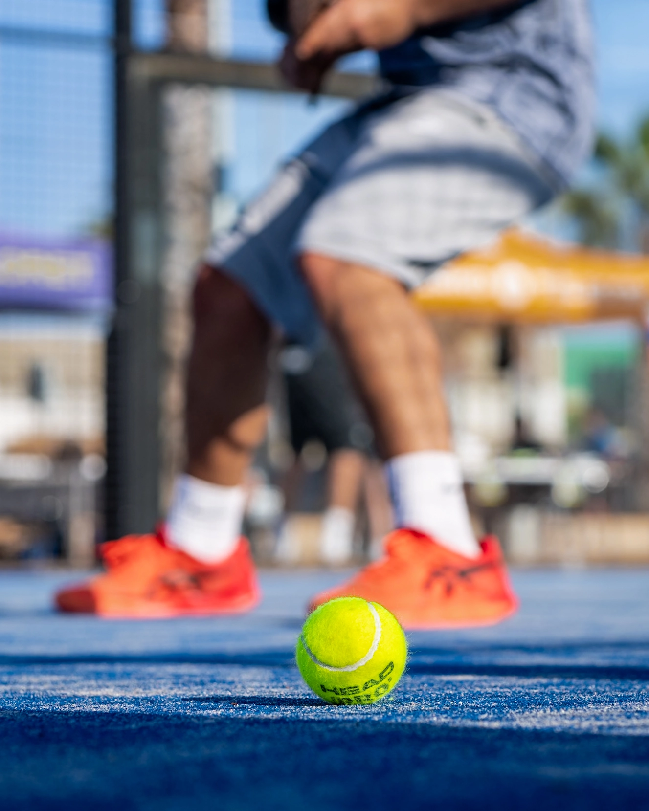 Corporate Padel: How to Organise a Team-Building Event in Spain